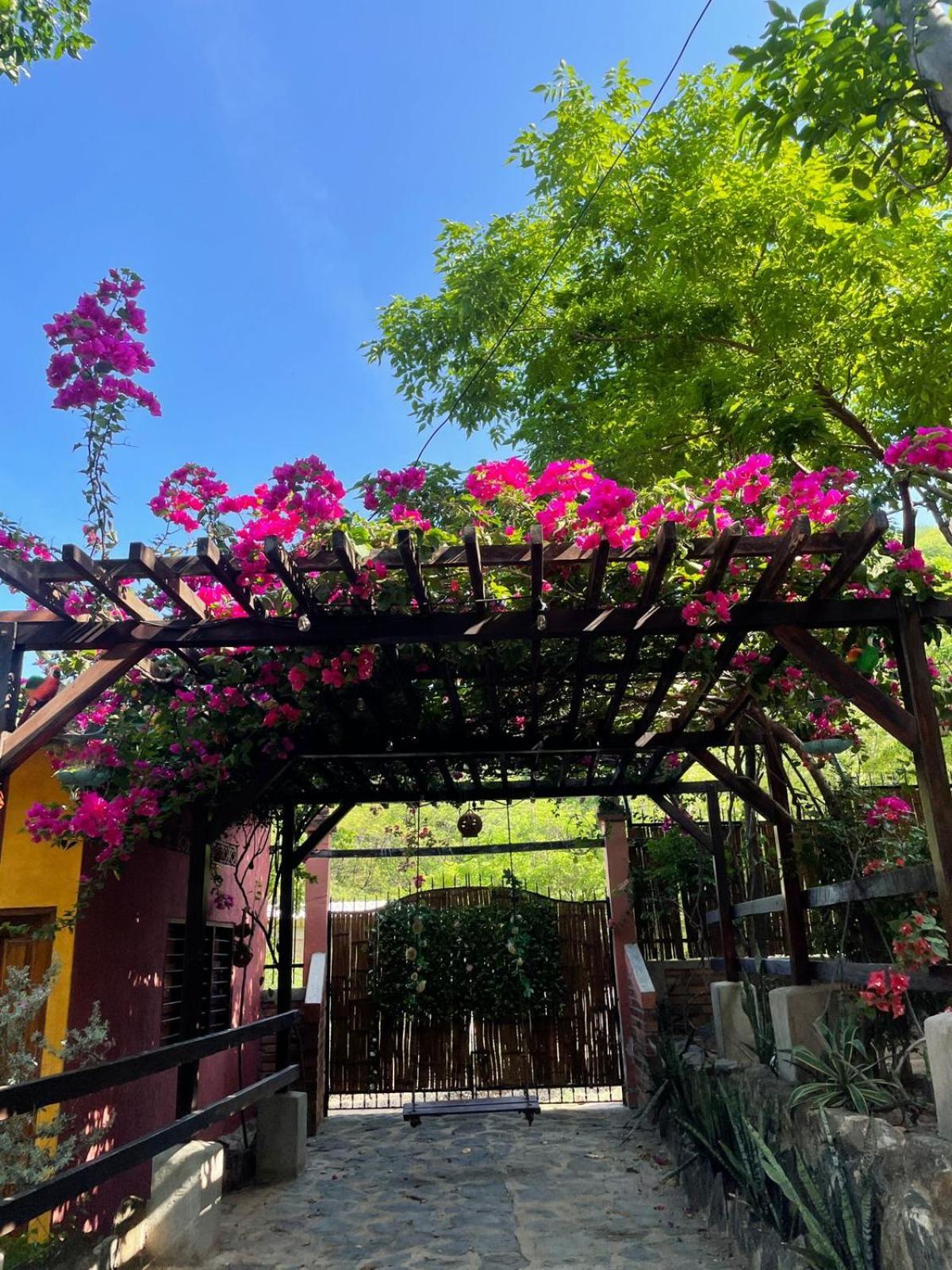 Hostal La Casa De Felipe Taganga Bagian luar foto